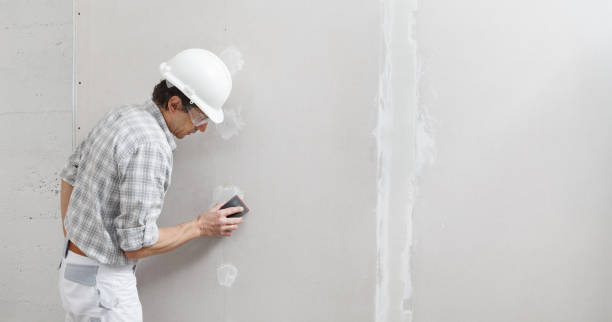Best Airborne Mold Testing  in Fussels Corner, FL