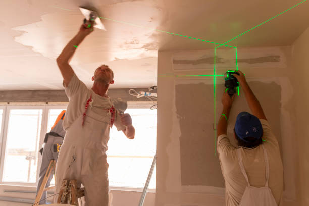 Best Black Mold Removal  in Fussels Corner, FL