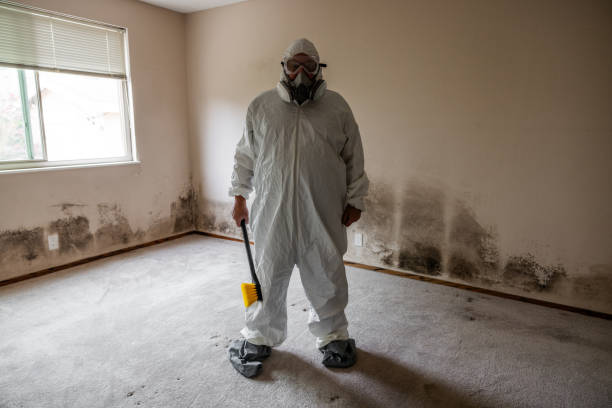 Best Residential Mold Inspection & Testing  in Fussels Corner, FL